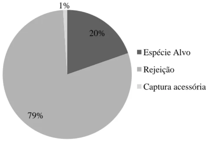Figura 5 – Percentagem de espécie alvo, rejeição e captura acessória capturadas na Embarcação 1 20%79%1%Espécie AlvoRejeiçãoCaptura acessória18%81%1%Especie AlvoRejeiçãoCaptura acessória