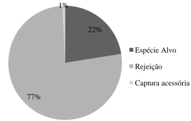 Figura 6 – Percentagem de espécie alvo, rejeição e captura acessória capturadas na Embarcação 2 