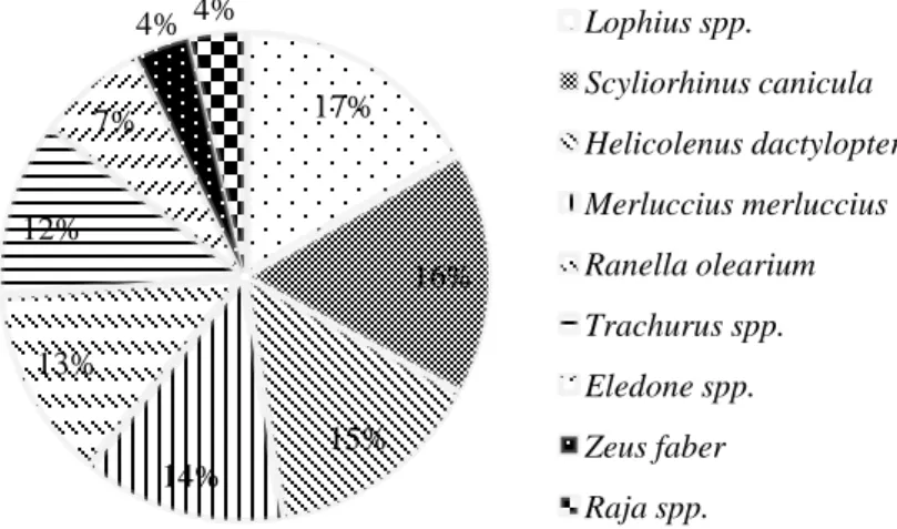 Figura 12 – Percentagens das capturas acessórias capturadas nas duas embarcações 37,6%2,1%60,4%Aristeus antennatusNephrops norvegicusParapenaeus longirostris17%16%15%14%13%12%7%4%4%Lophius spp.Scyliorhinus caniculaHelicolenus dactylopterusMerluccius merluc
