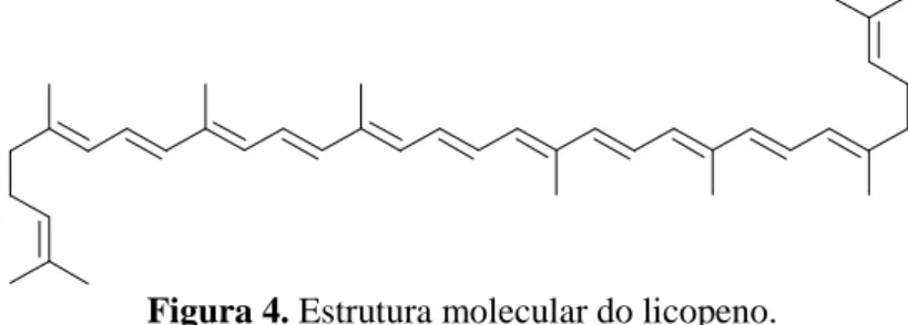 Figura 3. Estrutura molecular do isopreno.