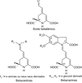 Figura 6. Estrutura molecular do ácido betalâmico (C 9 H 9 NO 5 ), base de todas as betalaínas,  betaxantinas e betacianinas
