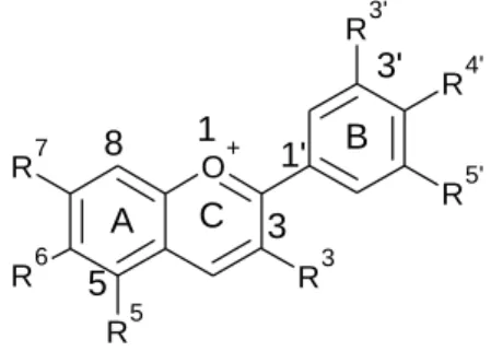 Figura 7. Estrutura molecular base de todas as antocianidinas. 