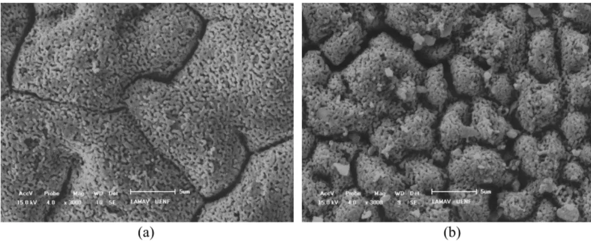 Figure 1: 3D micrographs (180 x) obtained by confocal microscopy of (a) YSZ-U and (b) YSZ-I substrates