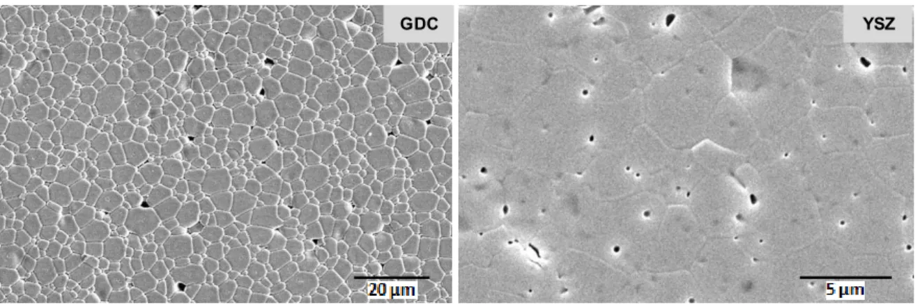 Figure 2: SEM micrographs of polished and thermally etched sample of GDC and YSZ sintered at 1600 °C/2h