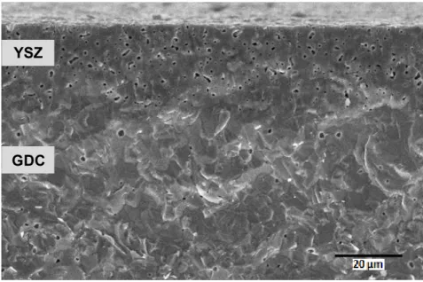 Figure 4: SEM micrographs of fracture surface of the GDC-YSZ bi-layer. 