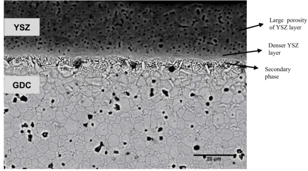 Figure 5: SEM micrographs of polished and etched surface of the GDC-YSZ bi-layer sintered at 1600 °C/2h