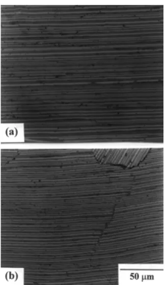 Figure 6.  Typical microstructures obtained from directionally solidified Sn-Se eutectic samples: (a) longitudinal view; (b) cross view.