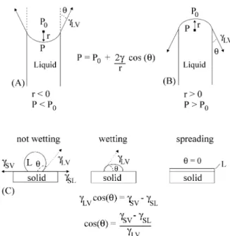 Figure 2.  Two plane plates simulating two grains with a grain boundary liquid phase.  A-  Plates are kept apart by applied external forces;  B-  null external forces;  C-  compressing external forces.