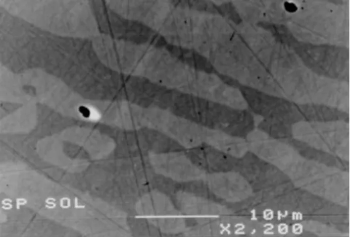 Figure 4. Corrosion pit formed on solution annealed AV2205 alloy after the cyclic potentiodynamic polarization test