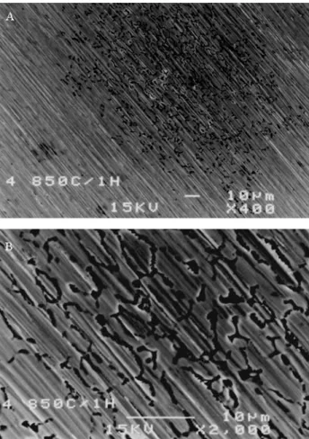 Figure 9. Localized corrosion along the sigma/austenite interface (con- (con-tinuous black strips) on the heat-treated AV2205 alloy at 850 °C/1 h after the cyclic potentiodynamic test