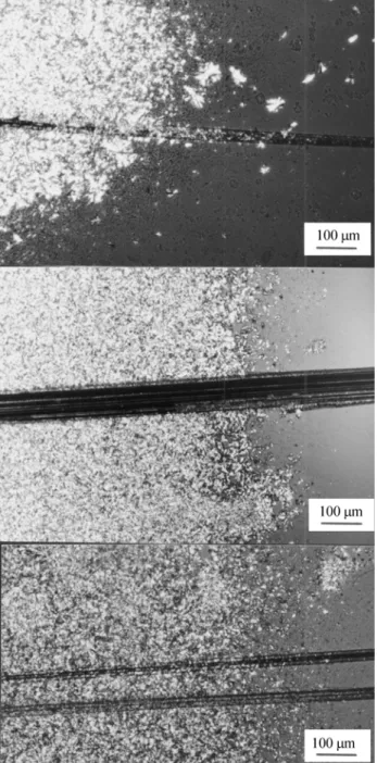 Figure 3. Crystallization front advancing along temperature gradient as viewed in situ under the hot stage optical microscope