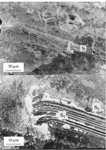 Figure 7. Approximate sample locations for the observation of lamellar detail by LVSEM (see Figs