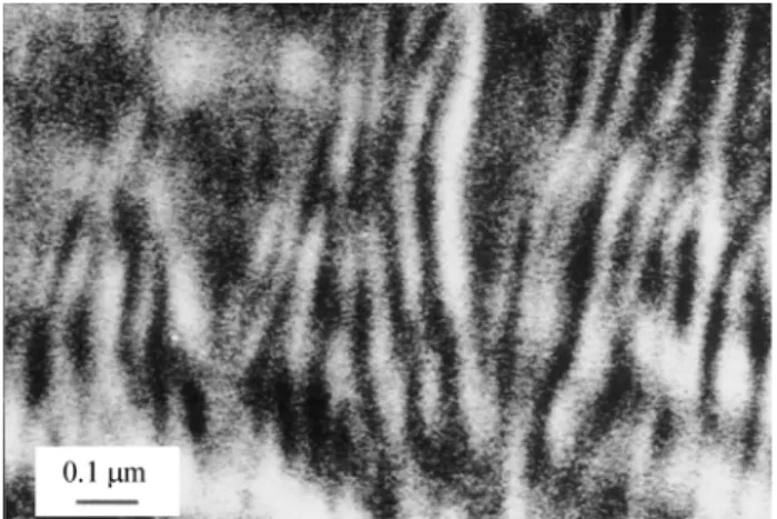 Figure 10. Higher magnification micrograph of initial transcrystalline HDPE lamellae from region S 2  (see Figs