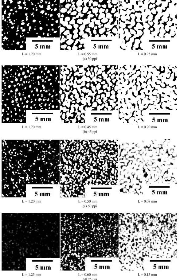 Figure 2. Image patterns for ceramic foam slices of different thickness (L). ** Image obtained by tomography