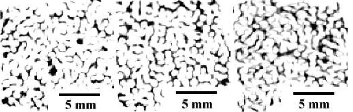 Figure 4 confirms that the pore diameter increased for thinner ceramic foam slices studied in this work
