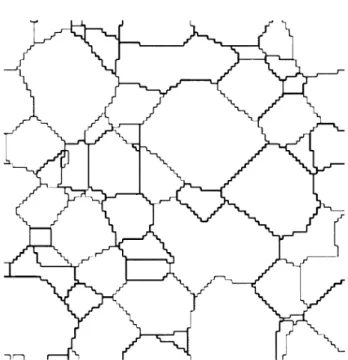 Figure 6. Grain growth behavior for increasing q values.