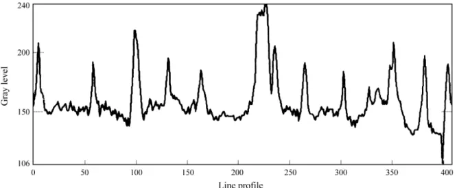 Figure 3. 3D representation of the gray level image of Fig. 1.