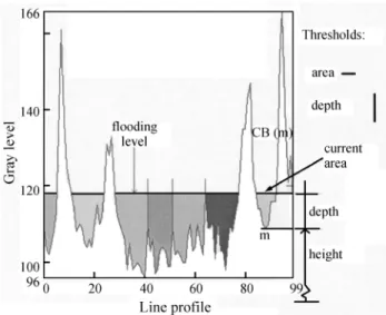 Figure 6. Time sequence absorptions for different h values (depth) during flooding with ABA.