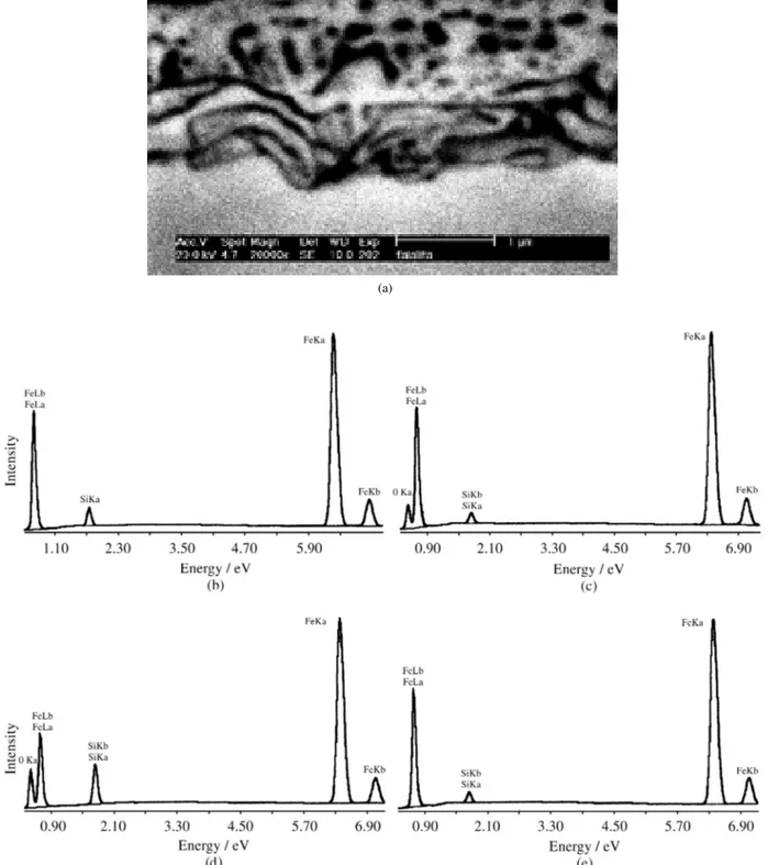 Figure 1. Typical oxide layer formed on the surface of the steel substrate. (a) 20000X; EDS spectrum for (b) point 1; (c) point 2; (d) point 3 and (e) point 4.