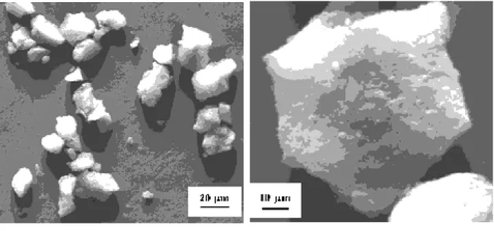 Figure 10. SEM micrographs of the AlSiMCM-41 samples. (a) AlSi MCM-41 (R/24), (b) AlSi MCM-41 (P/288).