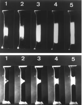 Table 1. Sets of active slip systems according to the Taylor model in rolling and tension (normal to rolling), for three different grain orientations corresponding to the main texture components.