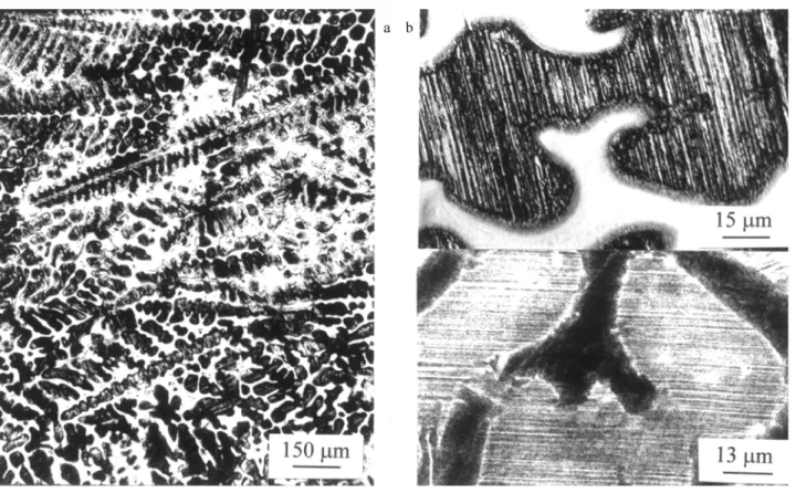 Figure 1. Optical microstructures of the as-cast Ti50Al alloy (a) and (b) and SEM under atomic number contrast (c).