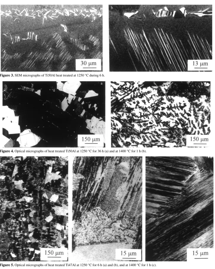 Figure 4. Optical micrographs of heat treated Ti50Al at 1250 °C for 36 h (a) and at 1400 °C for 1 h (b).