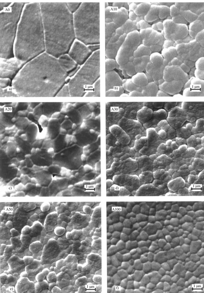 Figure 2. Microstructural evolution followed by SEM, 30 KV, (secondary electrons) of the compositions A0, A10, A20, A30, A50 and A100, sintered at 1600 °C for 2 h.