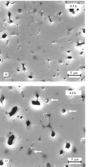 Figure 8. ZYLYb microstructure evolution with sintering time at 1500 °C.