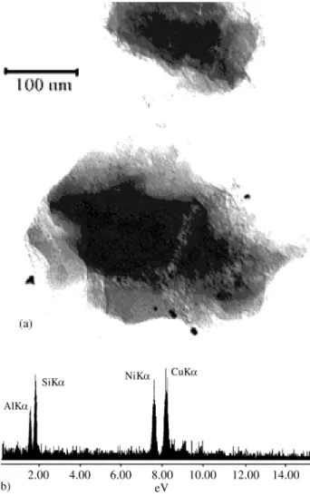 Figure 2. (a) and (b), TEM of samples B and C, respectively.