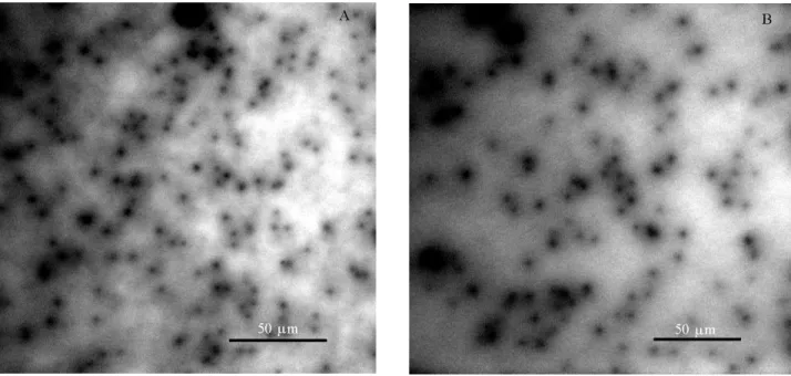 Figure 5. Room temperature PL microscopy image of a) tensile (ε = -0.5%) and b) compressive (ε = +1%) strained layers.