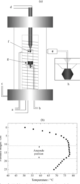 Figure 1. (A) Schematic drawing of the crystal growth furnace. a- a-temperature controller; b- source material a-temperature monitoring;  c-vacuum system output; d- cold finger temperature controller; e- CCD video camera, f- HgI 2  single crystal, g- sourc