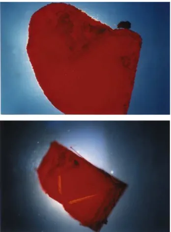 Figure 3. I-V room temperature plots for the detector assembled with the platelet of Fig