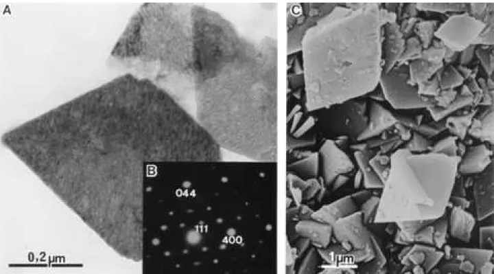 Figure 5A is a TEM from crystals of the sample of γ-Al 2 0 3 : curiously it is a platy crystal with sharp edges, a pair forming a 80° angle and other a 105°.