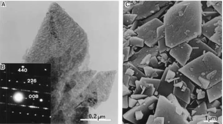 Figure 6. delta-Al 2 0 3 (A) - transmission electron micrograph; (B) - selected area electron diffraction pattern; (C) scanning electron micrograph.