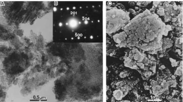 Fig. 9 is a TEM from an alpha-Al 2 0 3 from a fibrillar pseudoboehmite powder fired at 1200 °C to illustrate the morphology: some of the particles of theta-Al 2 0 3 have changed into alpha and have started to coalesce in larger particles producing the sint