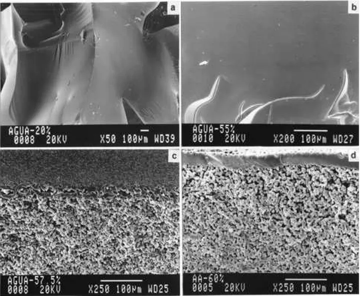 Figure 3. Photomicrography of polyHEMA porous sponge fractures in case of water concentration used in solution polymerization (a) 20%; (b) 55%;