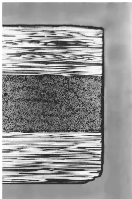 Figure 3. Tensile tests results.