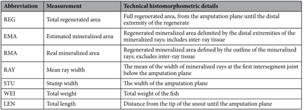 Table 2.   Histomorphometric parameters used to assess and correct the regenerated and mineralized areas.