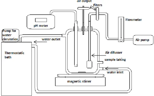 Figure 1: Arrangement of bioreactor 
