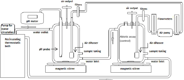 Figure 3: Display of two bioreactors 