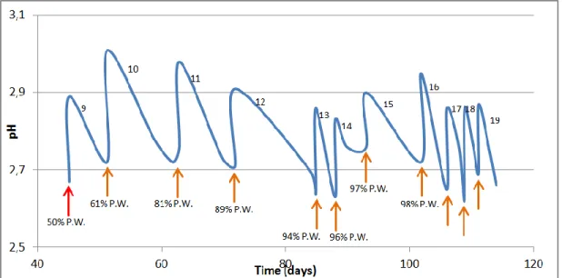 Figure 11: Evolution of pH in time during fermentation in a mix of Porto and Douro wine
