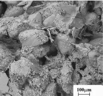 Figure 8.  SEM micrograph of the porosity and aggregate/gel interface of sample (K) (CPII-Z-32 cement/10% bottom ash/sand) after 28 days of aging.