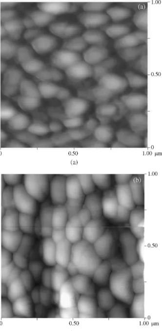 Figure 5. SEM micrograph cross section of the films: (a) SBN film treated at 700 °C/2 h