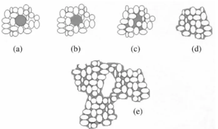 Figure 6 shows schematically how solid state sintering proceeds.