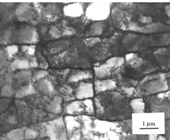 Figure 8.  TEM observation of dislocations structure of a specimen drawn in one pass, 8° and 20%, and cyclically twisted.
