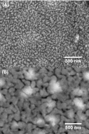Figure 3.  Scanning Electron Microscopy of the SBN thin film crystallized at 700 °C for 1 h (A) and at 700 °C for 5 h (B).