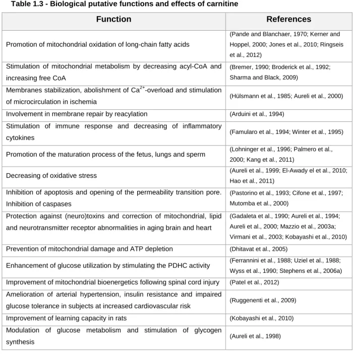 Table 1.3 - Biological putative functions and effects of carnitine 