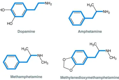 Figure 1.7 – Molecular structure of the most common amphetamines and its similarities with  dopamine