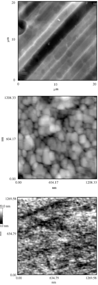 Figure 1.  AFM topography images of the coatings before the electro- electro-chemical experiments: (a) TiN film; (b) CrN film ; (c) TiC- x N y  film.